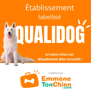Qualidog