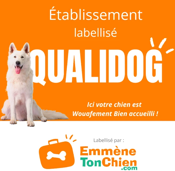 Qualidog